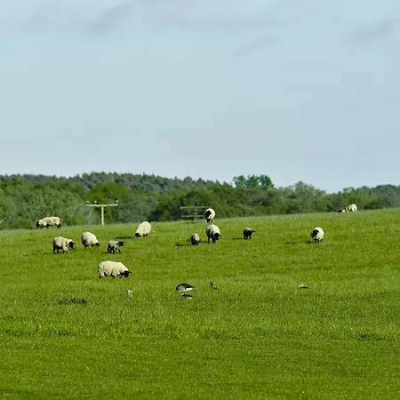 Apartamento A5 Pine Hill - Mit überdachtem Balkon, Zwei Bädern&leichtem Haffblick *