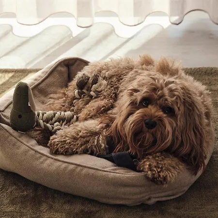 A5 Pine Hill - Mit überdachtem Balkon, Zwei Bädern&leichtem Haffblick Apartamento