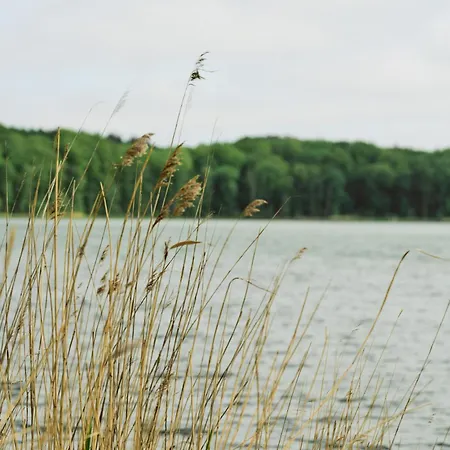 Apartamento A5 Pine Hill - Mit überdachtem Balkon, Zwei Bädern&leichtem Haffblick