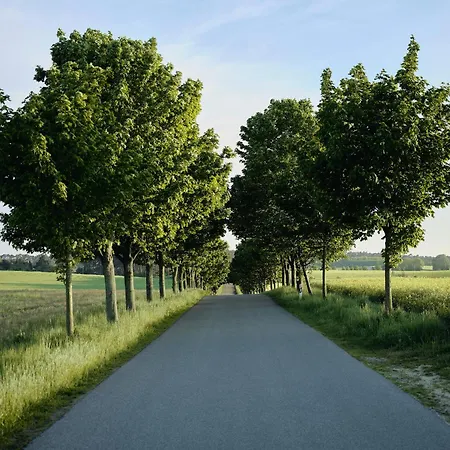 A5 Pine Hill - Mit überdachtem Balkon, Zwei Bädern&leichtem Haffblick Zirchow